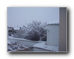 Fotograf�a N� 32