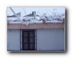 Fotograf�a N� 37